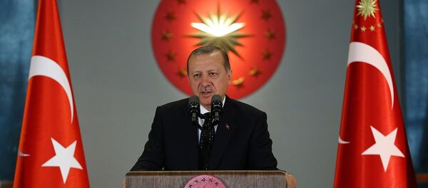 Cumhurbaşkanı Recep Tayyip Erdoğan - Sputnik Türkiye