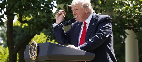 Donald Trump - Sputnik Türkiye