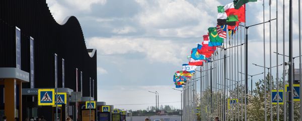 21.St. Petersburg Uluslararası Ekonomi Forumu - Sputnik Türkiye