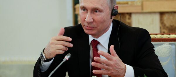 Rusya Devlet Başkanı Vladimir Putin - Sputnik Türkiye