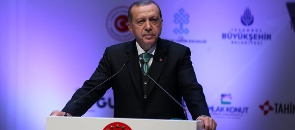 Cumhurbaşkanı Recep Tayyip Erdoğan - Sputnik Türkiye