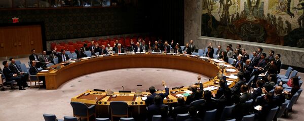 BM Güvenlik Konseyi - Sputnik Türkiye