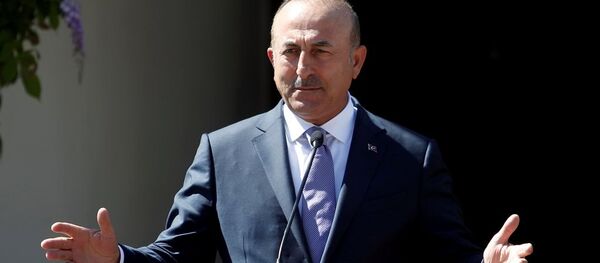Dışişleri Bakanı Mevlüt Çavuşoğlu - Sputnik Türkiye