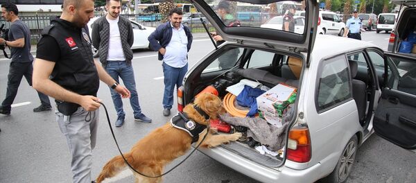 İstanbul'da polis operasyonu - Sputnik Türkiye