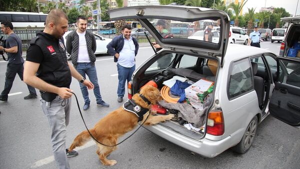 İstanbul'da polis operasyonu - Sputnik Türkiye