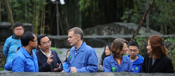 ABD'nin eski Pekin Büyükelçiliği maslahatgüzarı David Rank ABD'nin eski Pekin Büyükelçiliği maslahatgüzarı David Rank - Sputnik Türkiye