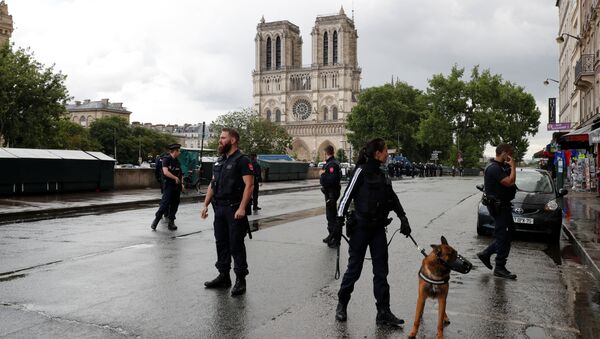 Paris'teki Notre Dame Katedrali'nin önünde saldırı - Sputnik Türkiye
