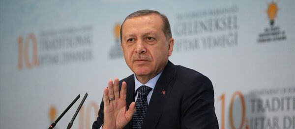 Cumhurbaşkanı Recep Tayyip Erdoğan - Sputnik Türkiye