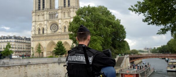 Notre Dame Katedrali-Fransız polisi - Sputnik Türkiye