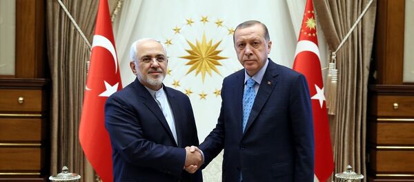 İran Dışişleri Bakanı Muhammed Cevad Zarif ve Cumhurbaşkanı Recep Tayyip Erdoğan - Sputnik Türkiye