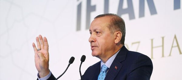Cumhurbaşkanı Recep Tayyip Erdoğan - Sputnik Türkiye