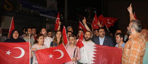 Beyoğlu'nda Katar'a destek eylemi - Sputnik Türkiye