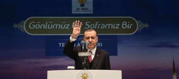 Cumhurbaşkanı Recep Tayyip Erdoğan Cumhurbaşkanı Recep Tayyip Erdoğan - Sputnik Türkiye