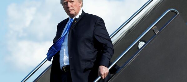 ABD Başkanı Donald Trump ABD Başkanı Donald Trump - Sputnik Türkiye