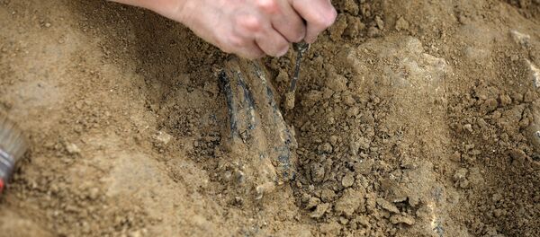 Fosil - Sputnik Türkiye