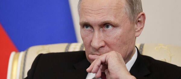 Rusya Devlet Başkanı Vladimir Putin - Sputnik Türkiye