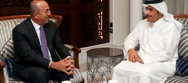 Dışişleri Bakanı mevlüt Çavuşoğlu, Katar Emiri Şeyh Temim bin Hamad el Sani ile birlikte Dışişleri Bakanı mevlüt Çavuşoğlu, Katar Emiri Şeyh Temim bin Hamad el Sani ile birlikte - Sputnik Türkiye