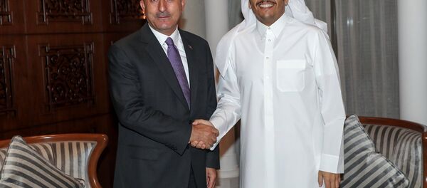 Dışişleri Bakanı mevlüt Çavuşoğlu, Katar Emiri Şeyh Temim bin Hamad el Sani ile birlikte - Sputnik Türkiye