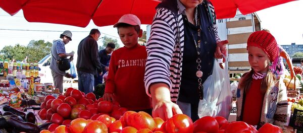 Rusya- Domates - Sputnik Türkiye