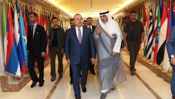 Dışişleri Bakanı Mevlüt Çavuşoğlu, Kuveyt'te - Sputnik Türkiye