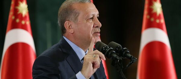 Cumhurbaşkanı Recep Tayyip Erdoğan - Sputnik Türkiye