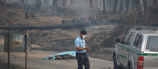 Portekiz'de orman yangını Portekiz'de orman yangını - Sputnik Türkiye
