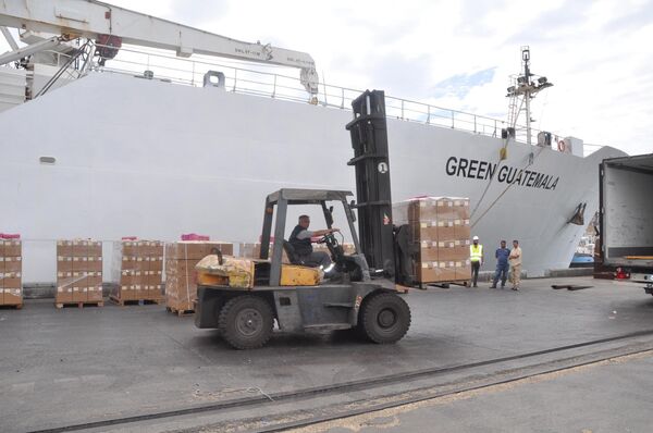 Katar'a yollanması planlanan gıda malzemeleri - Sputnik Türkiye