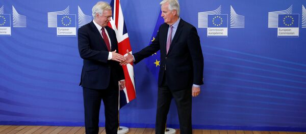 AB Komisyonu'nun Başmüzakerecisi Michael Barnier- İngiltere'nin Brexit Bakanı David Davis - Sputnik Türkiye