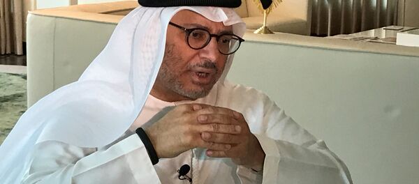 Birleşik Arap Emirlikleri (BAE) Dışişleri Bakanı Enver Gargaş - Sputnik Türkiye