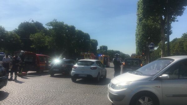 Fransa - Paris - Champs-Elysees - saldırı - Sputnik Türkiye