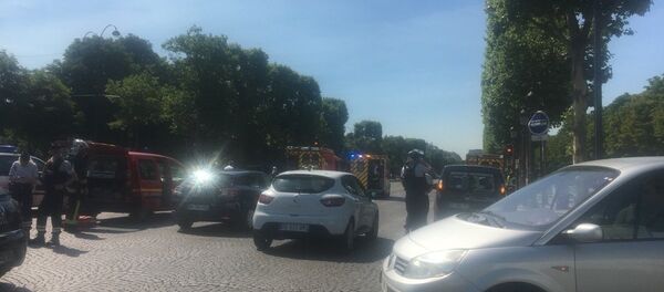 Fransa - Paris - Champs-Elysees - saldırı - Sputnik Türkiye