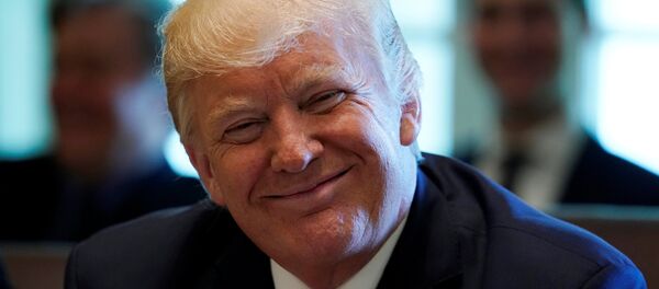 ABD Başkanı Donald Trump - Sputnik Türkiye
