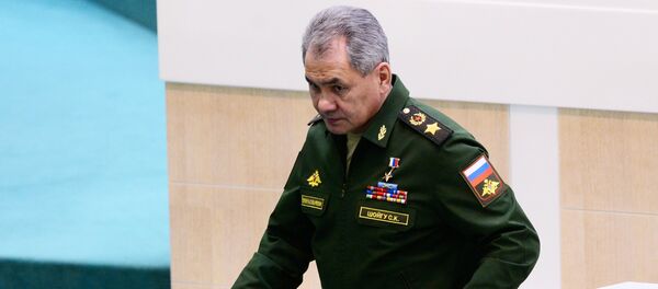 Sergey Şoygu Sergey Şoygu - Sputnik Türkiye