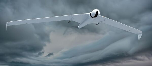 ZALA 421-16Е2 - Sputnik Türkiye