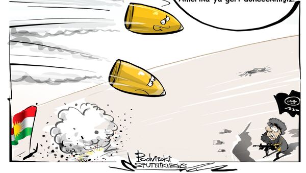 Karikatür - Sputnik Türkiye