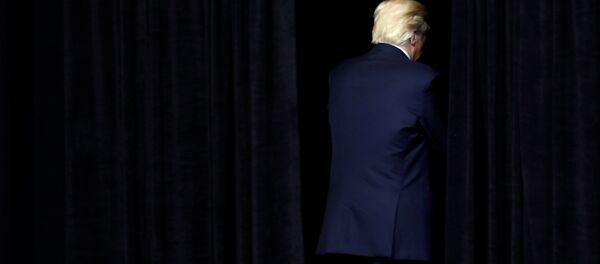 ABD Başkanı Donald Trump - Sputnik Türkiye