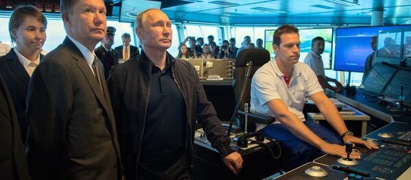 Vladimir Putin - Sputnik Türkiye