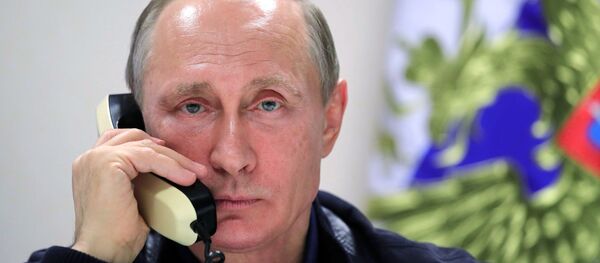 Rusya Devlet Başkanı Vladimir Putin - Sputnik Türkiye