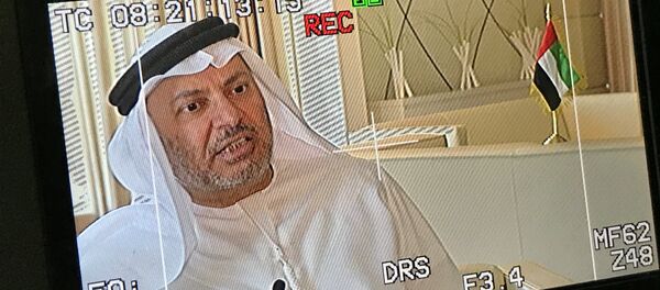 BAE Dış İşlerinden Sorumlu Devlet Bakanı Enver Gargaş - Sputnik Türkiye