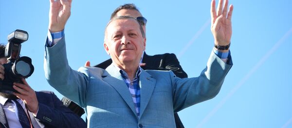 Cumhurbaşkanı Recep Tayyip Erdoğan - Sputnik Türkiye