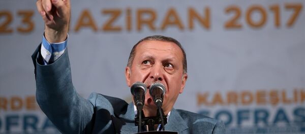 Recep Tayyip Erdoğan - Sputnik Türkiye