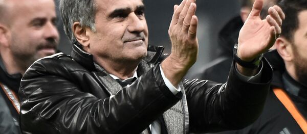 Şenol Güneş Şenol Güneş - Sputnik Türkiye