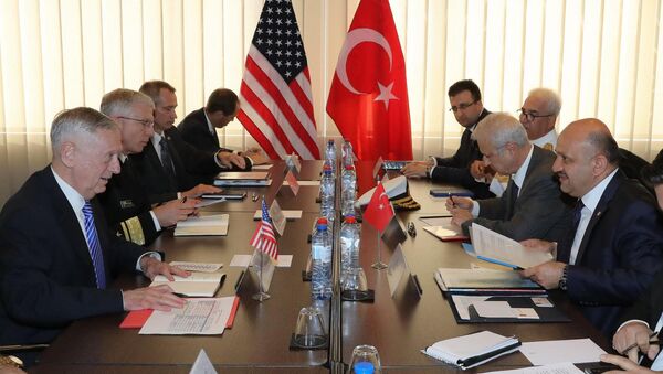 Milli Savunma Bakanı Fikri Işık ile ABD Savunma Bakanı James Mattis - Sputnik Türkiye