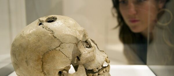 Kafatası Kafatası - Sputnik Türkiye