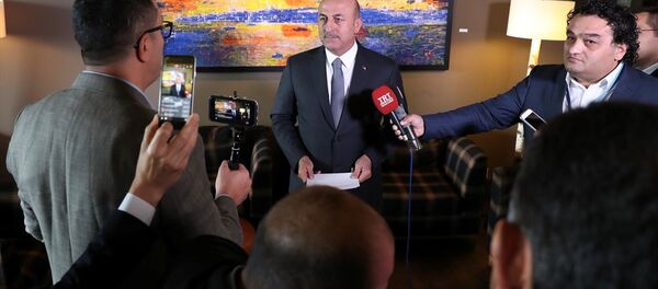 Dışişleri Bakanı Mevlüt Çavuşoğlu - Sputnik Türkiye