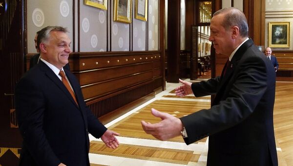 Cumhurbaşkanı Recep Tayyip Erdoğan- Macaristan Başbakanı Victor Orban - Sputnik Türkiye