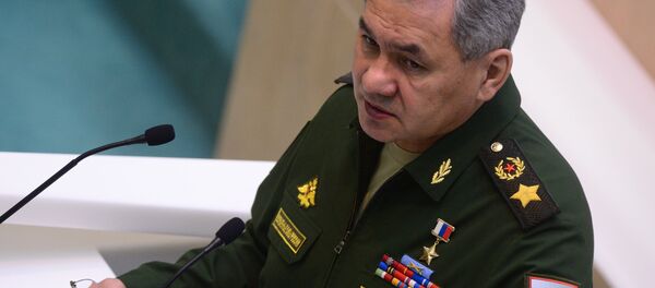 Rusya Savunma Bakanı Sergey Şoygu - Sputnik Türkiye