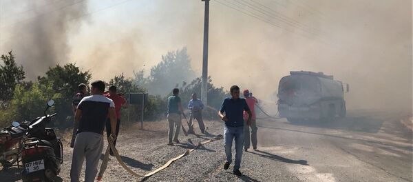 Alanya'da yangın - Sputnik Türkiye