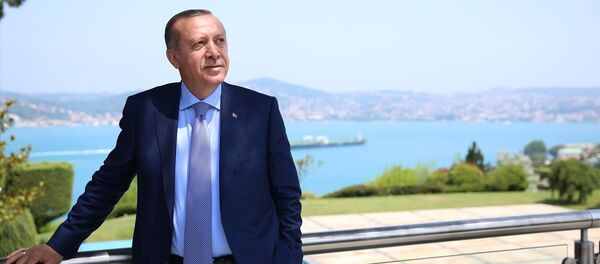 Cumhurbaşkanı Recep Tayyip Erdoğan - Sputnik Türkiye