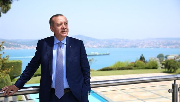 Cumhurbaşkanı Recep Tayyip Erdoğan - Sputnik Türkiye